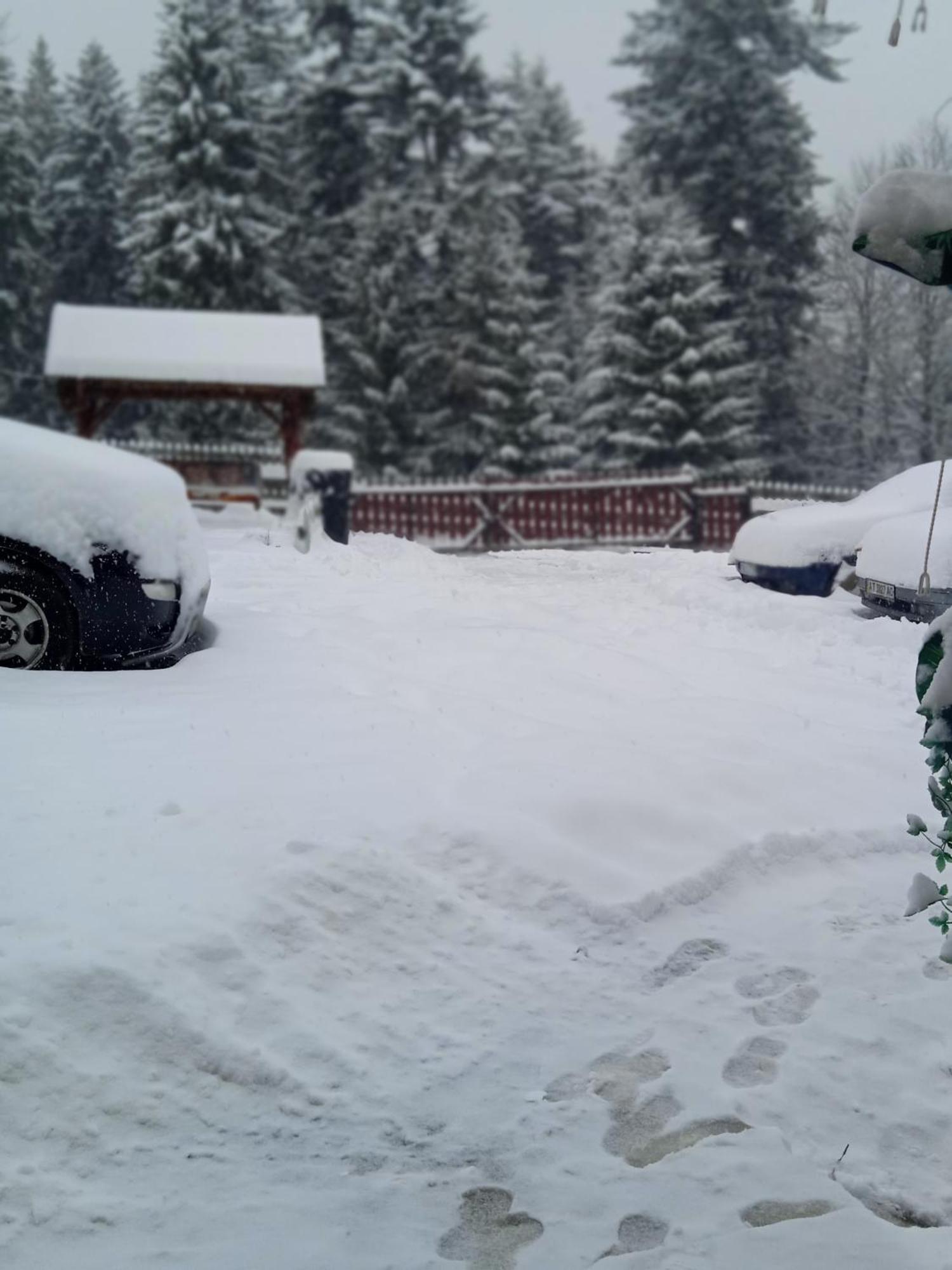 Затишні Карпати)) Apartamento Verkhovyna Quarto foto